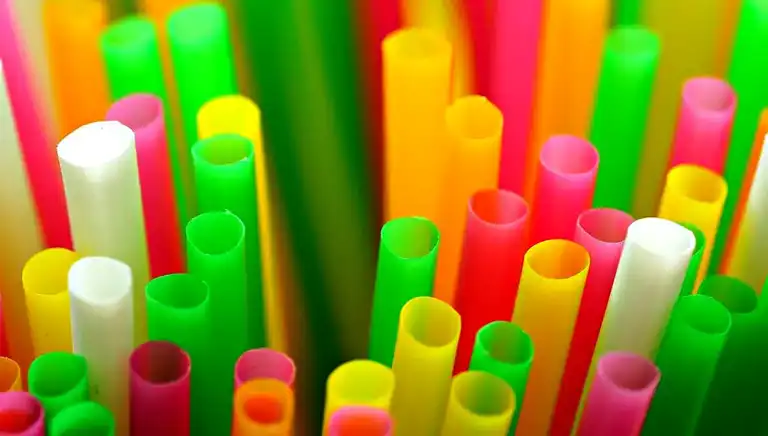 Bakteriler Plastikten Ağrı Kesici Üretti!