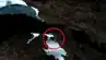 Google Maps'te Antarktika'da "UFO" Görüntüsü!
